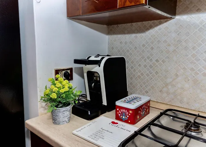 Robertone 14 * בארי